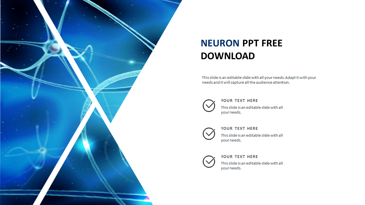 neuron ppt free download